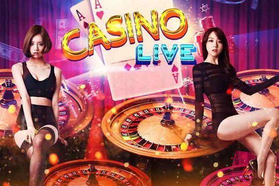 Winner Casino Live Casino